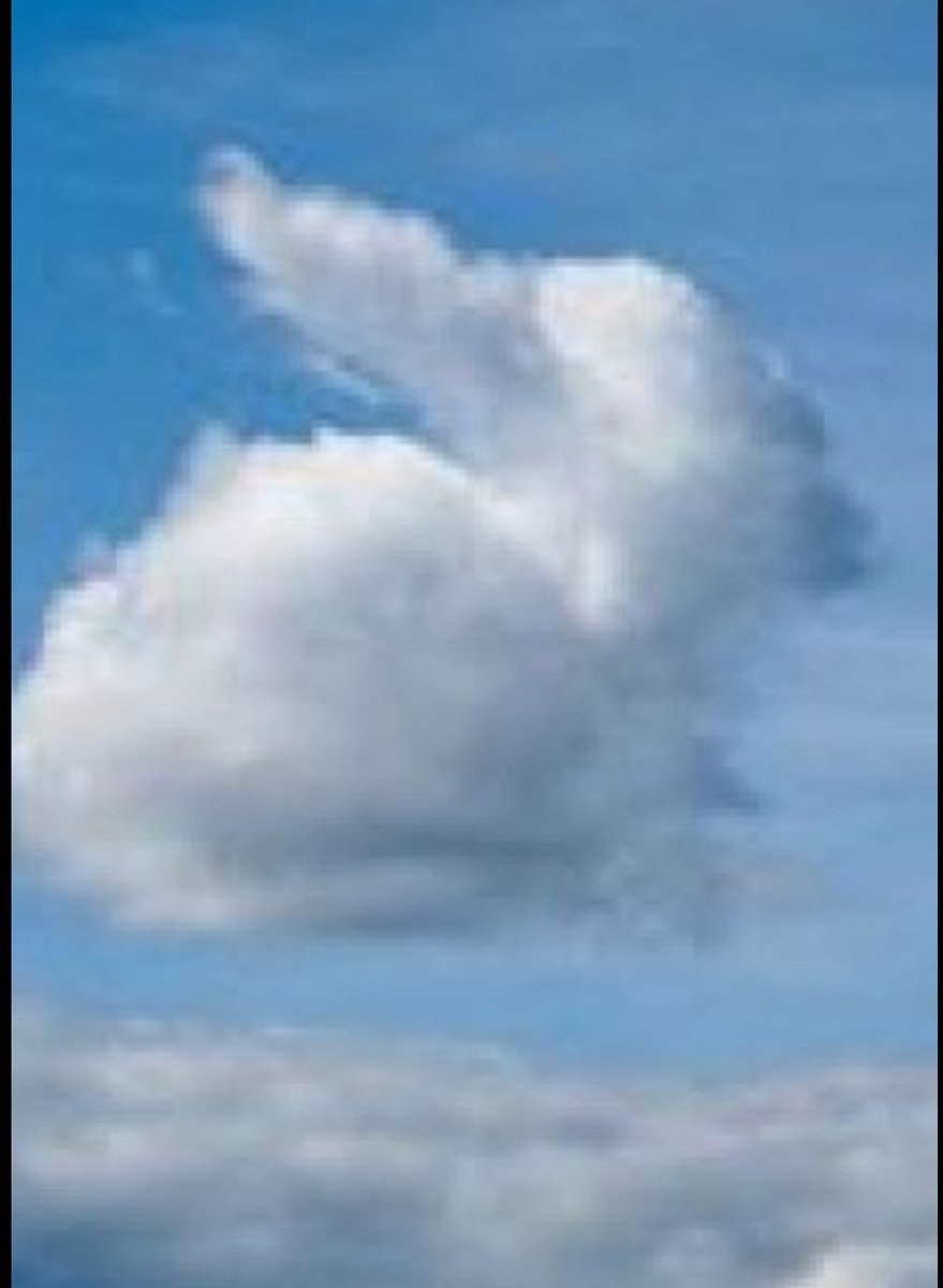 Bunny cloud: