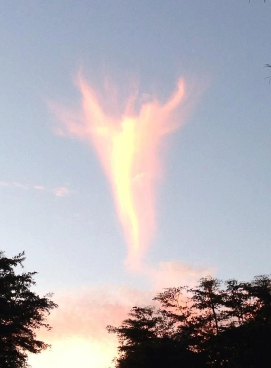 Angel ascending to heaven cloud;