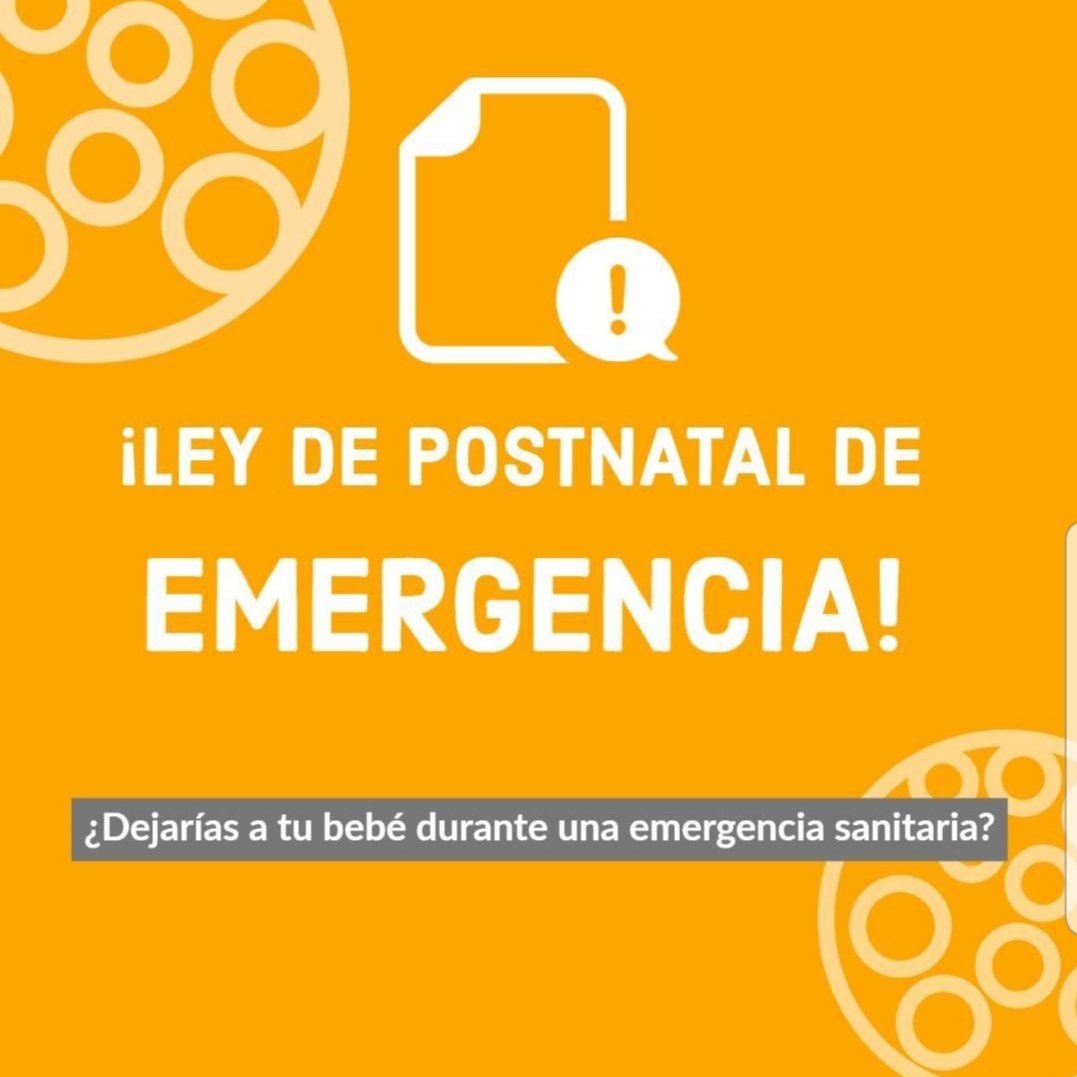 Postnataldeeme1's tweet photo. HOY 28 DE MAYO A LAS 21:00 LLENAREMOS LAS REDES!💪
HOY MOVILIZACIÓN VIRTUAL!
SUBAN ESTE LOGO..
FACEBOOK WHATSAPP INSTAGRAM TWITTER TIKTOK
Es de extrema urgencia proteger a nuestros hijos e hijas frente a la pandemia del COVID-19 
Por el derecho a cuidarnos #PostnatalDeEmergencia https://t.co/Rx9AzyKN9L