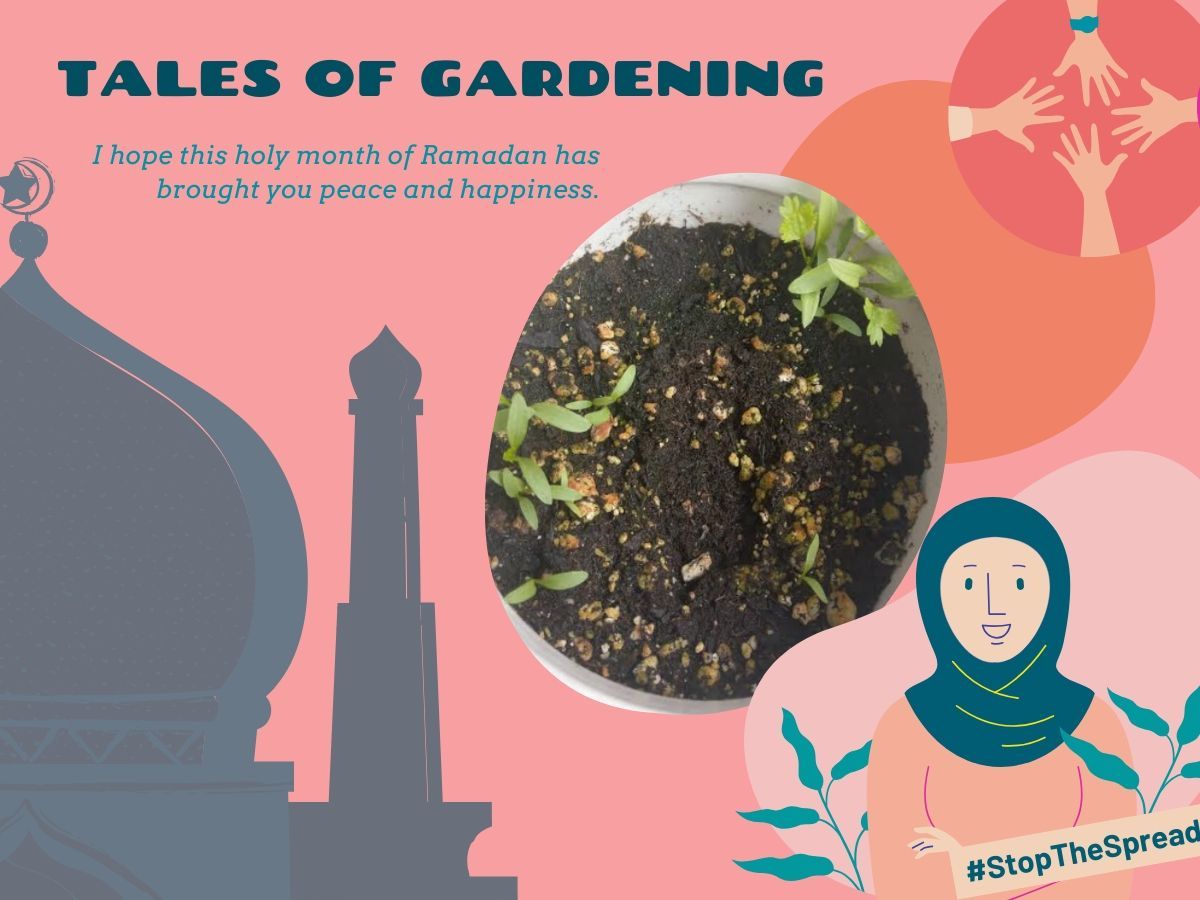 This week was a beautiful week for me. While Ramadan was ending, I was very sad to stop cooking amazing dishes when breaking the fast. I learned many new dishes. And, I want to try more so that I can use my beautiful herbs. 
Go to our Facebook and Instagram pages to read more!
