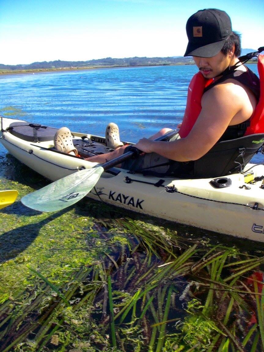 Hopkins Marine Station Stanford University tweet media