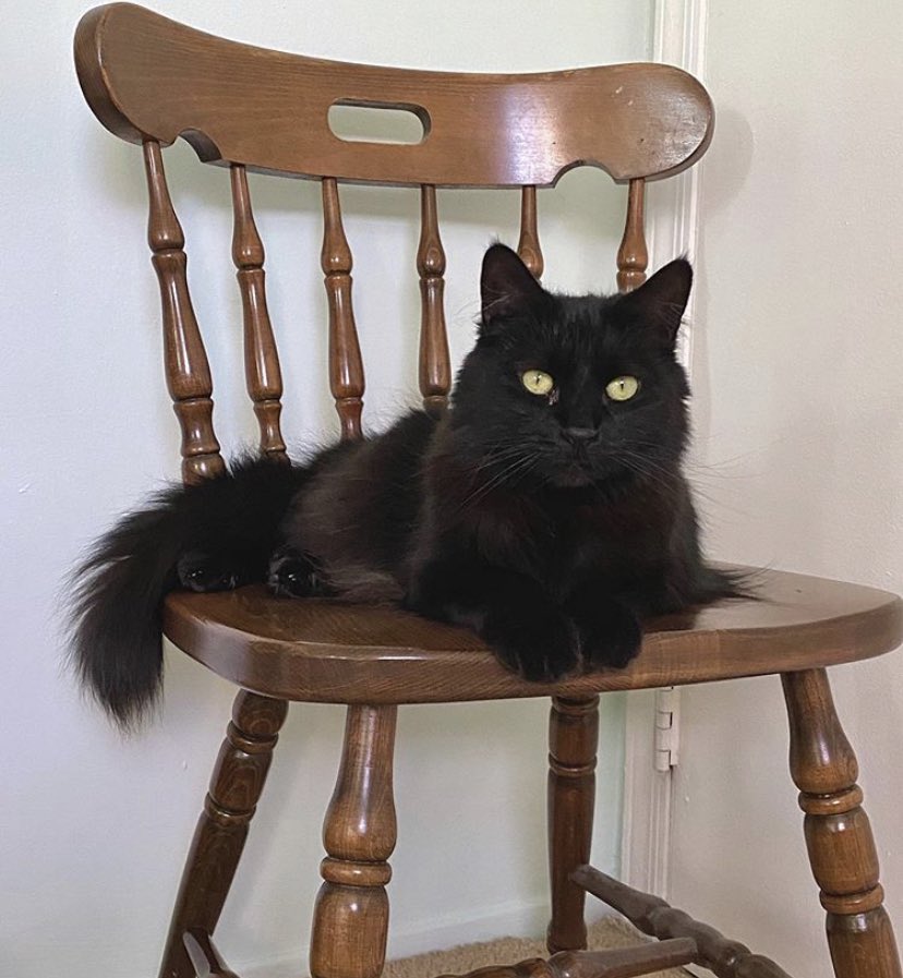 StephyLaurens's tweet photo. She’s privileged.  She gets the chair.  I get the floor.  

Yeah, totally seems fair, Macie.... https://t.co/H4TWcVlEVC