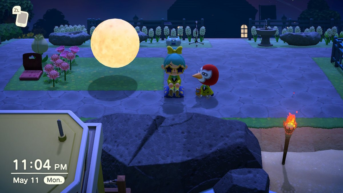 AliaAtreides5's tweet photo. More #twinning with #Lucha #fave #AnimalCrossing #ACNH #NintendoSwitch https://t.co/kZMZT2MiiB