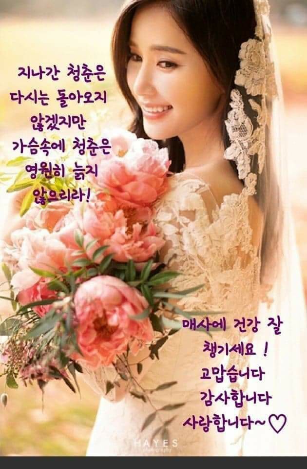 soo1211soo's tweet photo. 사진 https://t.co/1wykmQ7hcO