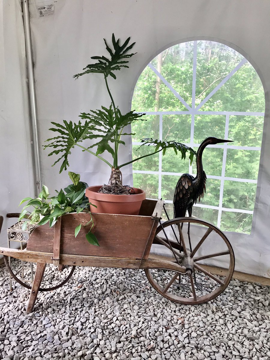 senecasolflx's tweet photo. Lounge tent loveliness. #flxglamping #breakfastisserved #flxlife #myflxfamily https://t.co/x9BIUnGH97