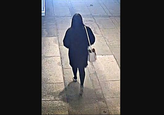 Police have released video of someone deliberately tripping an 84-year-old woman who uses a walker, sending her tumbling to the ground, in hopes someone can identify the suspect bit.ly/2XbI8Hh