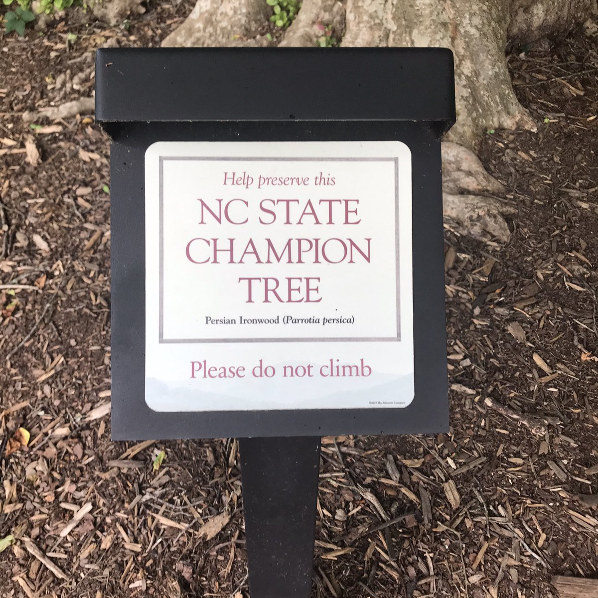 It’s mom is so proud!