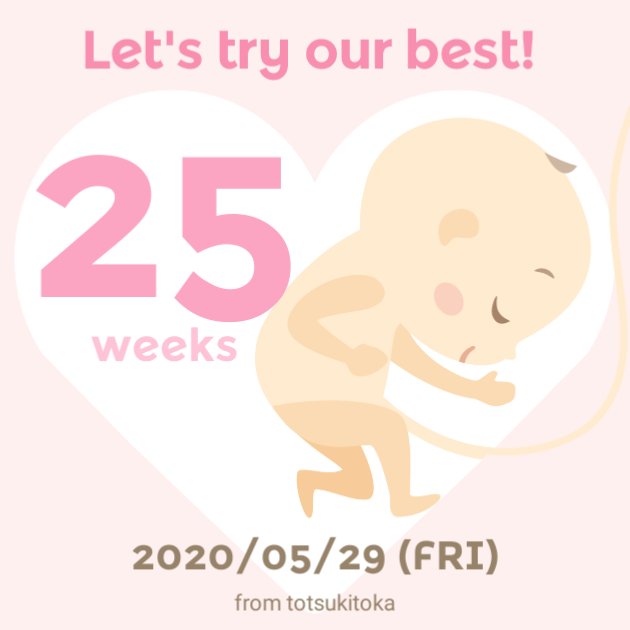 妊娠25週 胎児の体重は 妊婦のお腹の大きさや胎動 エコー写真 ままのて