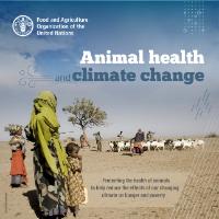 TamuANRP's tweet photo. Former ANRP intern and agricultural economics major, Shelby Lepley, is celebrating the recent publication of a project she contributed to at the FAO in Rome, Italy during Summer 2019! Check out her work here:
https://t.co/2AbbD4ZBB1 https://t.co/KjnJS21fCR