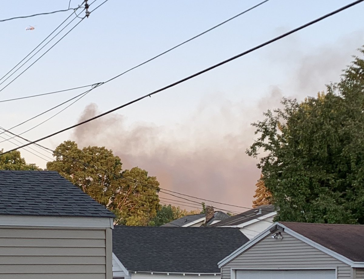 Thaddeus Brink tweet media