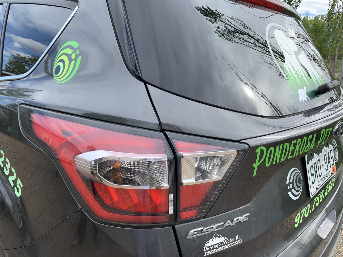 MoonliteLeopard's tweet photo. Putting the values of the @bassnectar @bass_network @BeInteractiveHQ community into action! I’ve redesigned my business model to be now 100% dedicated to bringing Pet Care to the People!! My friend did the decals &amp; threw in a few surprise stickers to replace the old one 😍✊🏼💚🐾 https://t.co/mCGyeBqX5M