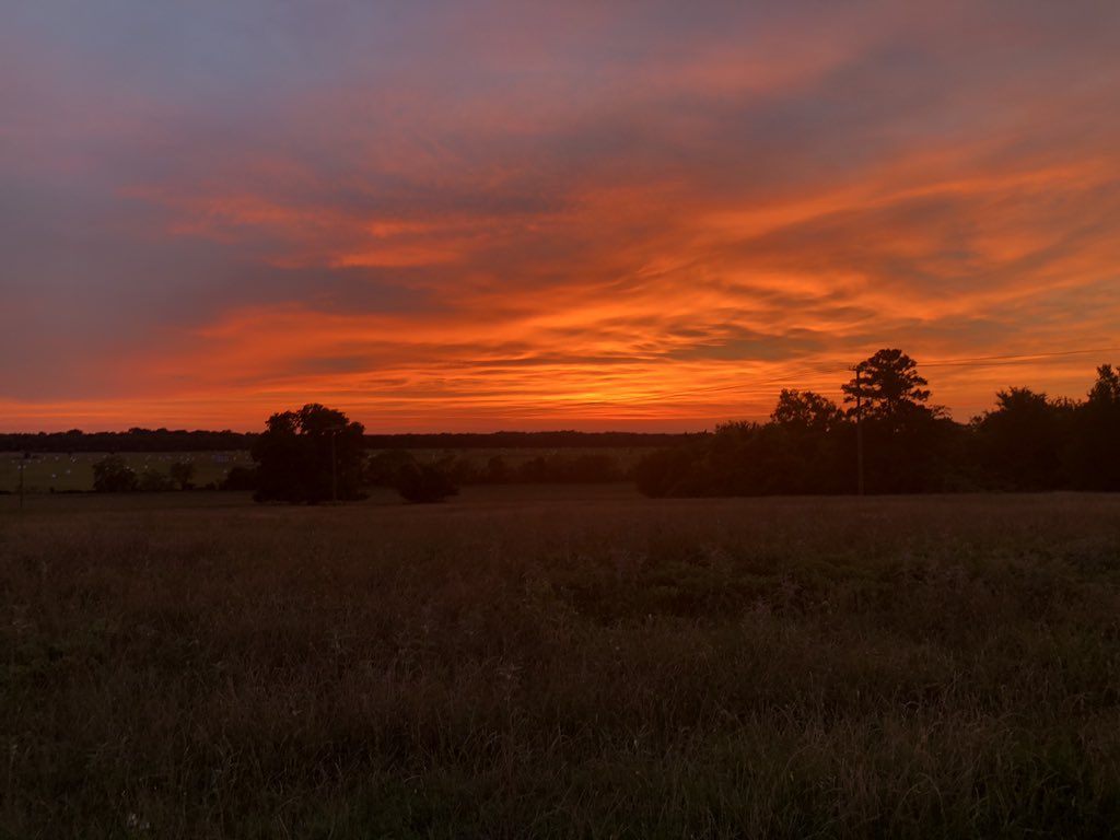 jimshelly2's tweet image. Another great Texas sunset ,  now let’s Wild Hog Hunt.   #trackem