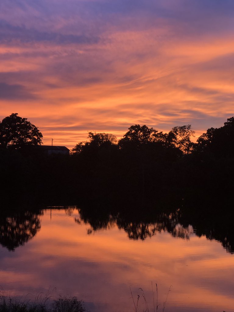 jimshelly2's tweet image. Another great Texas sunset ,  now let’s Wild Hog Hunt.   #trackem