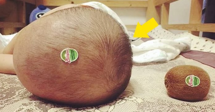 confusingpic's tweet image. 