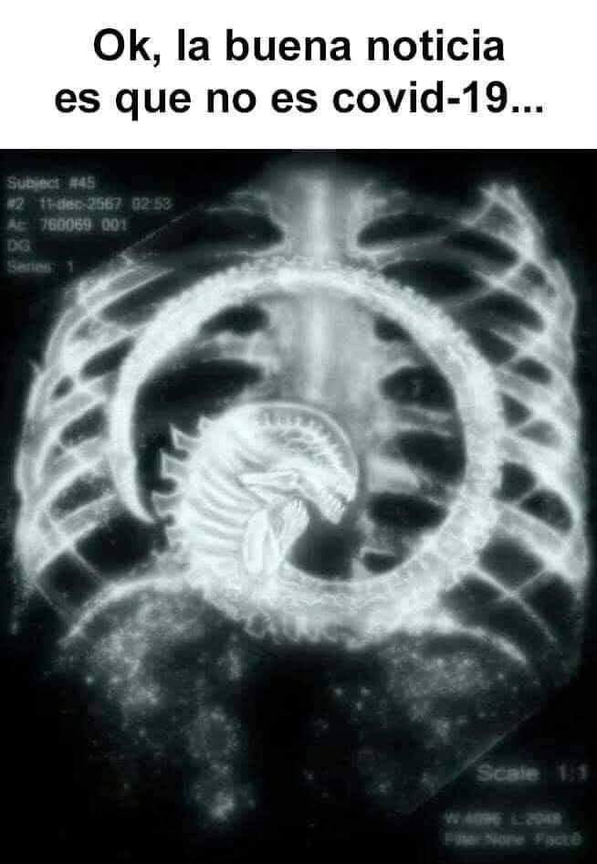 camiloerr's tweet image. 