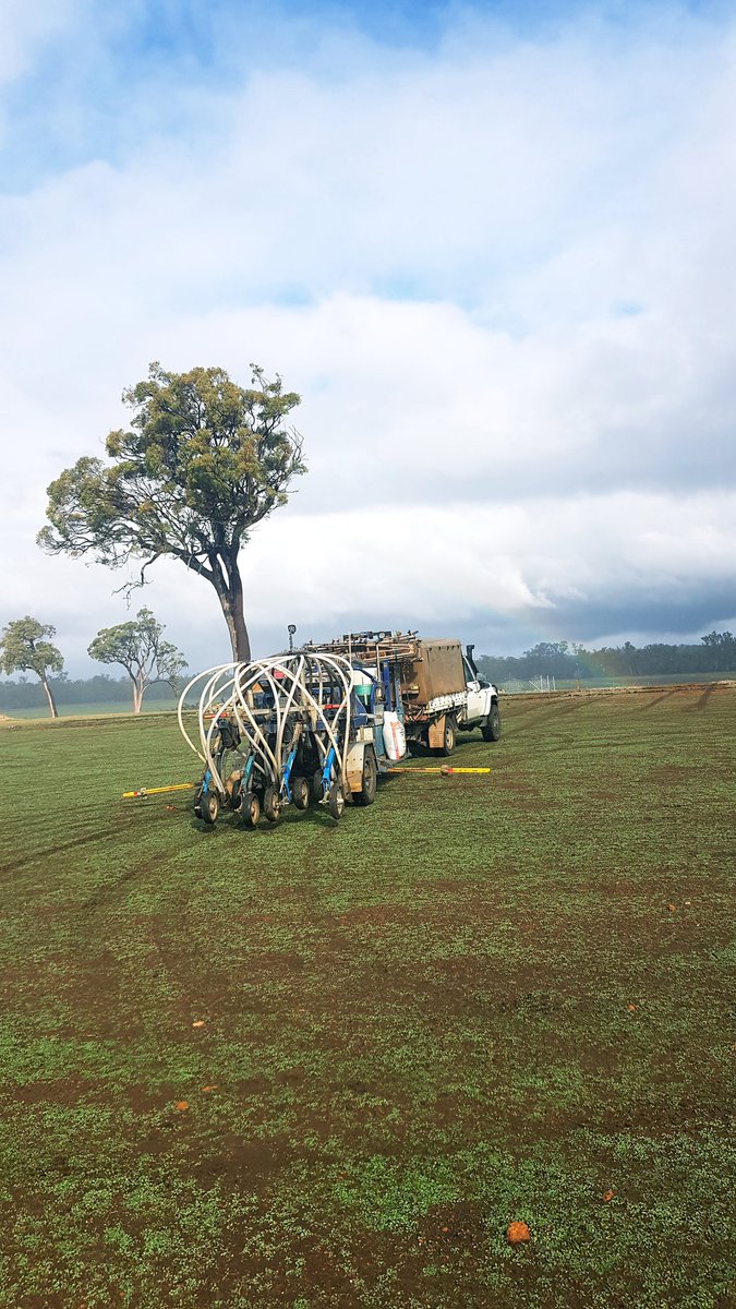 HopkinsonRohan's tweet image. Starting to see the end of #seeding2020