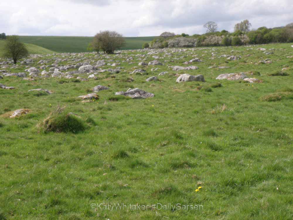 Some locations are famous for their ‘sarsen spreads’. Here swathes of sarsen stones lie about on the surface. Dorset and Wiltshire both have a sarsen ‘Valley of Stones’. You can see them outside Ashdown House, Oxfordshire. They are lovely to explore  #PATC5  #DailySarsen 3/