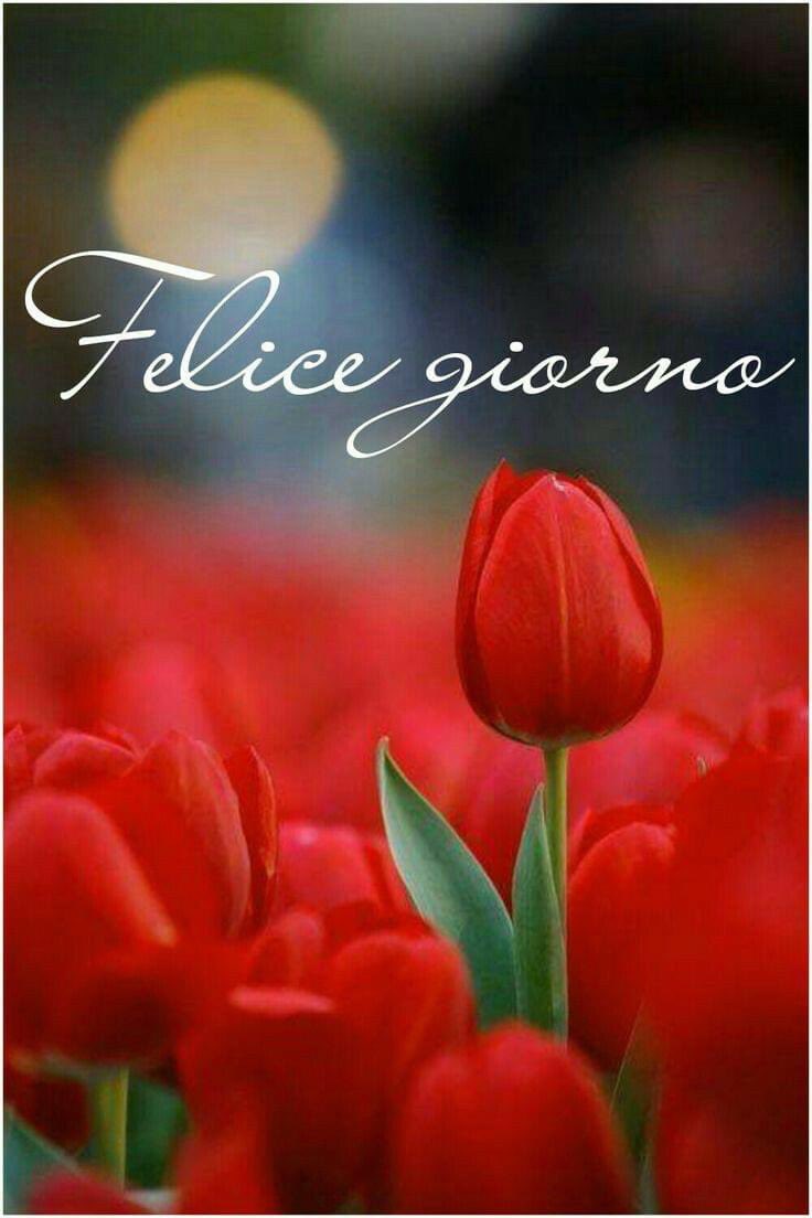 @DonatoMarinelli @AntonellaLaTor6 @italiano705 @PreziosaGemma @giusyoni @CaterinaRomeo0 @SuttoraM @Hakflak @albaniangirl0 @angygel22 @adelestancati “Tu vola,anche quando il vento della vita sembra soffiare contrario e le tue ali faticano ad aprirsi” S.Boscolo Grazie Donato,un saluto caro buon fine settimana e...