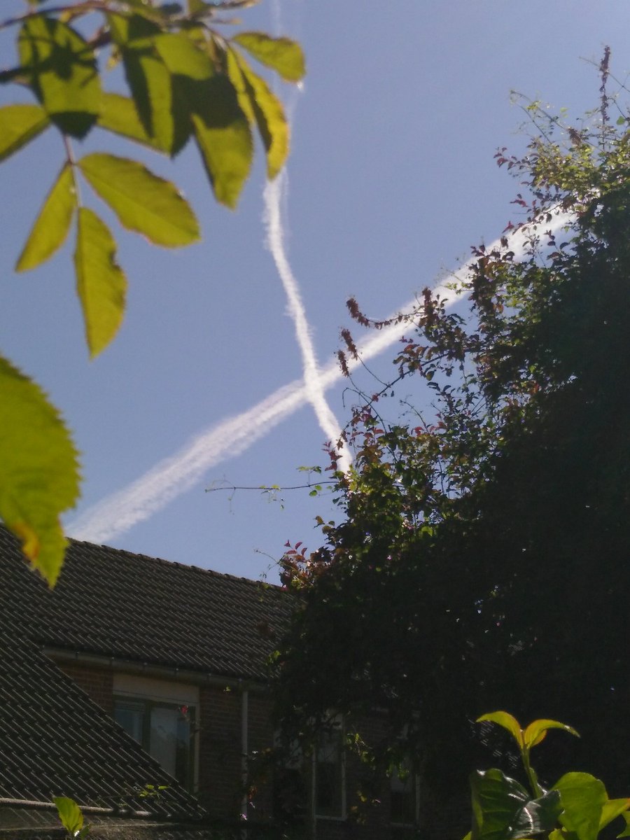 We zullen ons kruis weer opnemen .... ;)