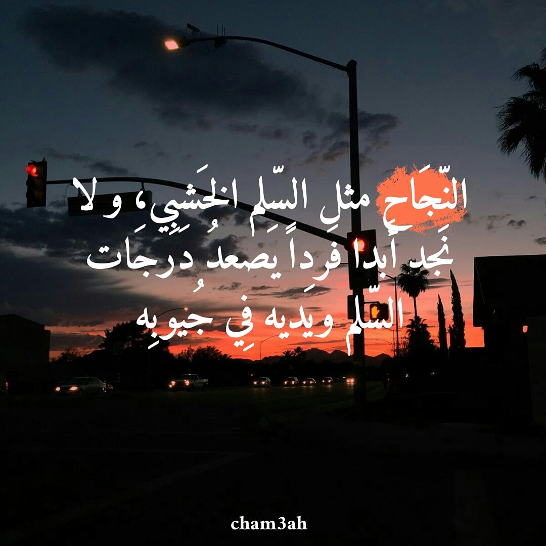 Cham3ah1's tweet photo. .
.
.
.
.
#algérienne #algérien #karakou_algérien #beauté_algérienne #bg_algérien #cuisine_algérienne #jijel_algérie #bgs_algériens #paysage_d_algérie #gateaux_algérien #123vivalalgérie #paysagealgérien #flormaralgérie #algériemonamour #tesdiraalgérienne https://t.co/0RRD138raO