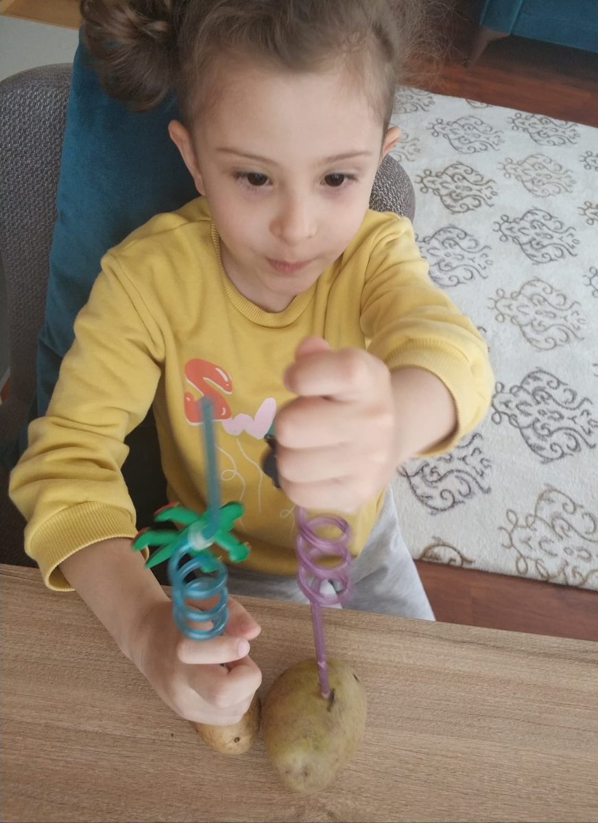 il_serpil's tweet photo. Patates deneyimiz @Hasrettkcn @IErzem @TYorulmazlar https://t.co/ME3QInYYI0