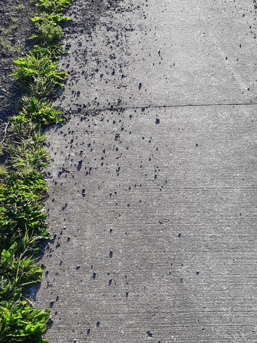 WiggelevdV's tweet photo. Snap dat de boer naar zijn land moet over het fietspad (Molenpad Grootegast), maar nu liggen de steentjes op het fietspad #vallen #lekkeband. ☹ Kunt u @GemWkwartier de landeigenaren hier op aanspreken? https://t.co/uWhGhnv3VQ