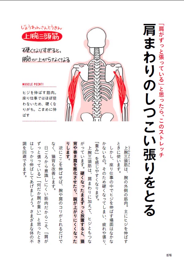 たぶん日本一わかりやすい。『座り仕事の疲れがぜんぶとれる コリほぐしストレッチ』で肩がいきなり軽くなる。