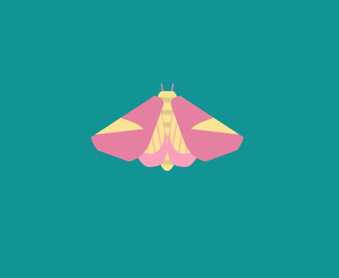 Day 14 - a rosy maple moth! I only found out these cuties exist last week; thought I'd have some fun trying to recreate in CSS. Not my favourite so far but we can all agree these moths are cute   @CodePen at  https://codepen.io/aitchiss/pen/BaoeGeV  #100daysProjectScotland