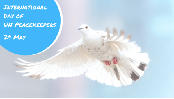 up2universe's tweet photo. 📍Let’s pay a tribute to ppl fighting for #peace🕊️ on the International Day of UN Peacekeepers! 2020's theme is #WomenInPeacekeeping : A Key to Peace”. We salute them! ➡️Check out a 🎞️from the #eduOER  library:
Wilson's 14 Points #K12 #Khan_Academy
https://t.co/MdSSsM3SAz https://t.co/46mjUuh5zG