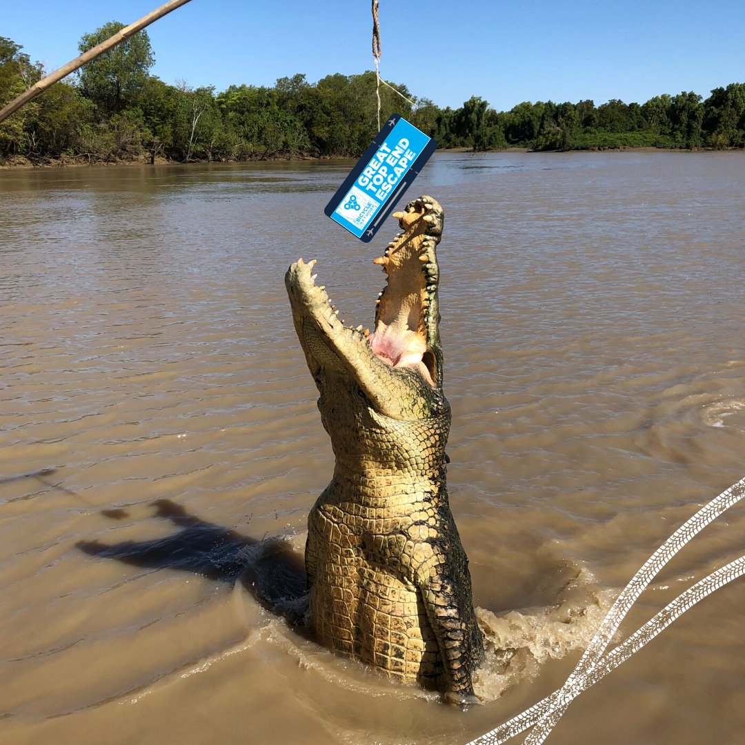 bicycle_network's tweet photo. All our tickets for Great Top End Escape 2021 have been snapped up ππ
.
New tour dates have just been released for anyone who has missed out π€²
.
Link in bio!
.
.
.
#topend #ntaustralia #australia #seeaustralia #northernterritory #ausoutbacknt https://t.co/Xml3ANwSaK