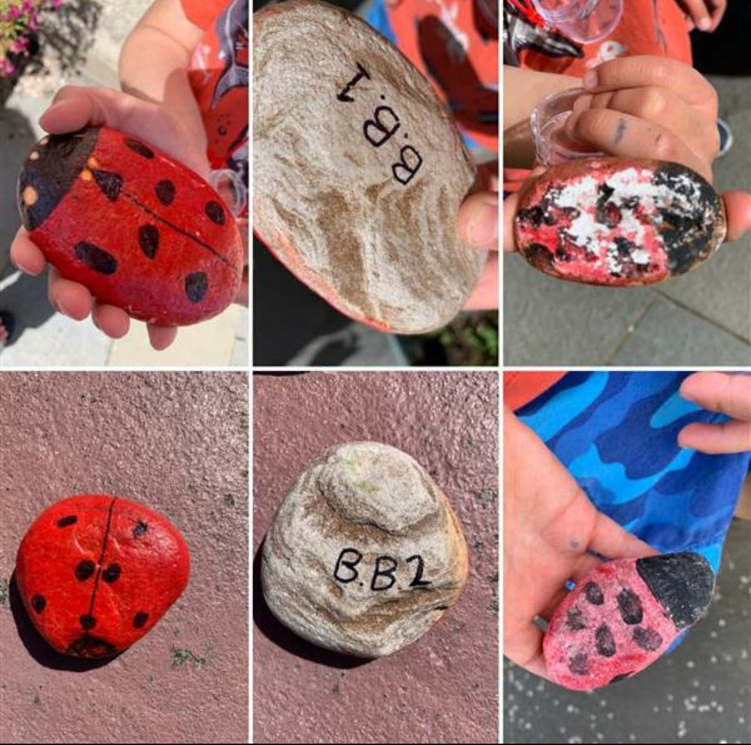 Pittenweem Primary School tweet media