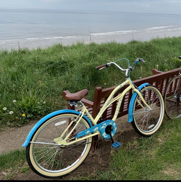 lylebogle's tweet photo. My garage got broken into last night, they’ve taken all my tools which were kept in a Stanley carry bag, my drill and driver set, Jades bike and my track pump. If anyone sees or hears anything can you let me know please? https://t.co/x42lTa7cnA