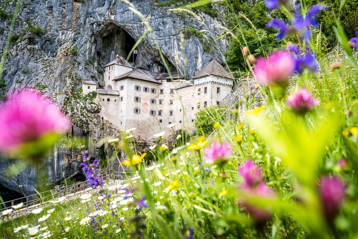 Only a few days and we'll open the doors! Starting on Monday, June 1. #predjamacastle #ifeelslovenia
