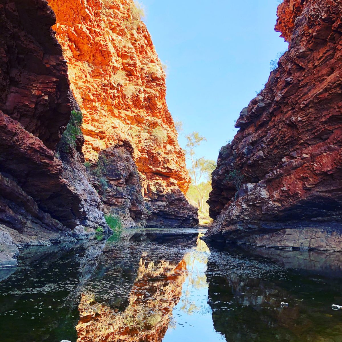 ParberyCanberra's tweet photo. What are your thoughts on leaning into risk? Join the conversation. https://t.co/BScFiHAe0E @TimHarcourt @BernardSalt  @TraceySpicer @StanGrantMOF @hamishNews @bairdjulia @ellenmfanning https://t.co/Gs3wbmB3yU