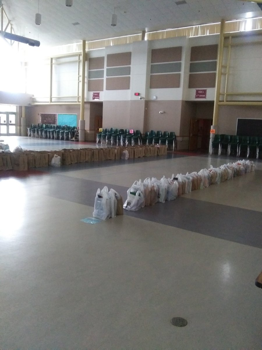 Elizabeth Fox tweet media