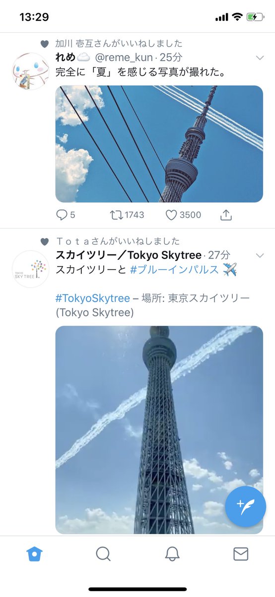 れめ 完全に 夏 を感じる写真が撮れた