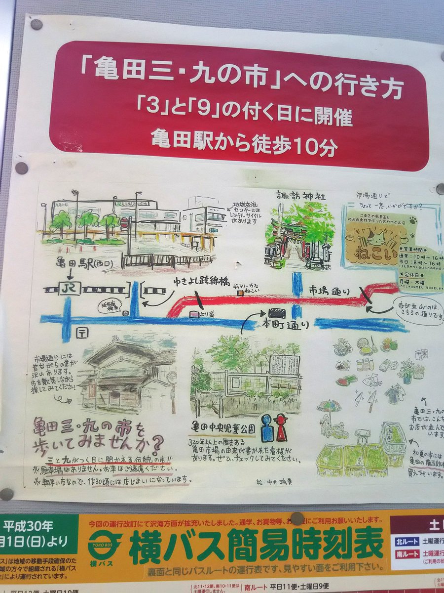 ギャラリーねこい 7 27 8 2 イラスト展示会 本日の亀田紹介イラスト 毎月三と九のつく日に朝市があります 只今は笹団子や粽を作る笹や空豆にグリンピース等が売っていますよ 新潟 亀田 イラスト 朝市 ボールペン 水彩色鉛筆