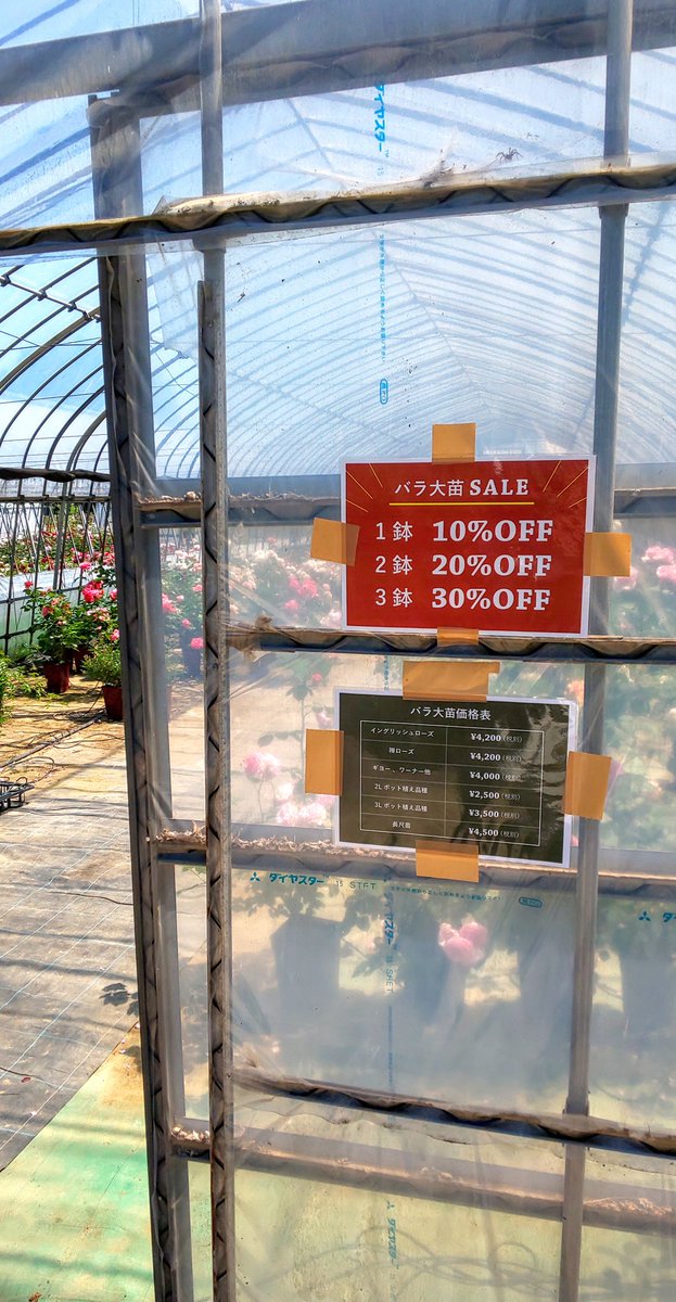 Mayu 福島のみなさまー 南相馬の あの 大森プランツさんが 期間限定でオープンされていますよー 各地でのイベントがキャンセルになった為 薔薇苗をお求めやすい価格で販売して下さっています 苗販売というより 那須のコピスガーデンさんとはまた違っ