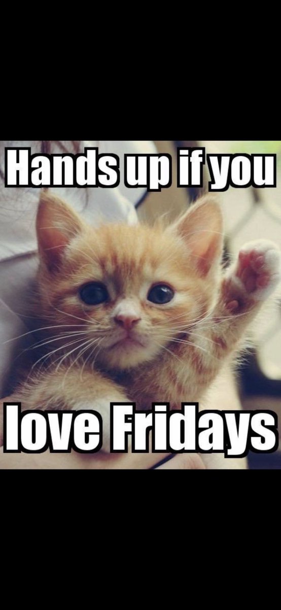 DR_Electr1cal's tweet photo. It’s Friday...last working week for some. Let’s smash this day together...who’s with me? #friday #friyay #smash #drelectrical #theno1doctor #handsup #kittens https://t.co/f91ecOn7si