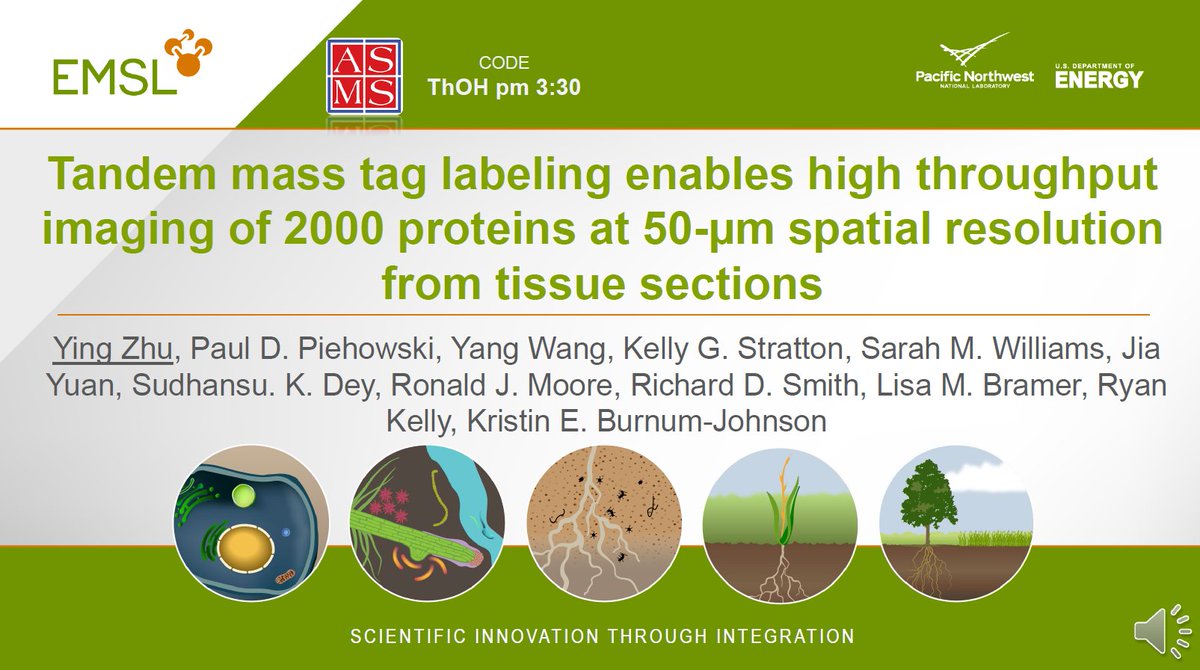 NanoPOTS_SCP's tweet image. I will present our development in #nanoPOTS_proteome_imaging using isobaric labeling #ASMS2020. The code is ThOH pm 03:30;@EMSLscience
 
@PNNLab