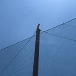 事件が起こりました。飼い猫が降りれなくなってしまった場所とは？