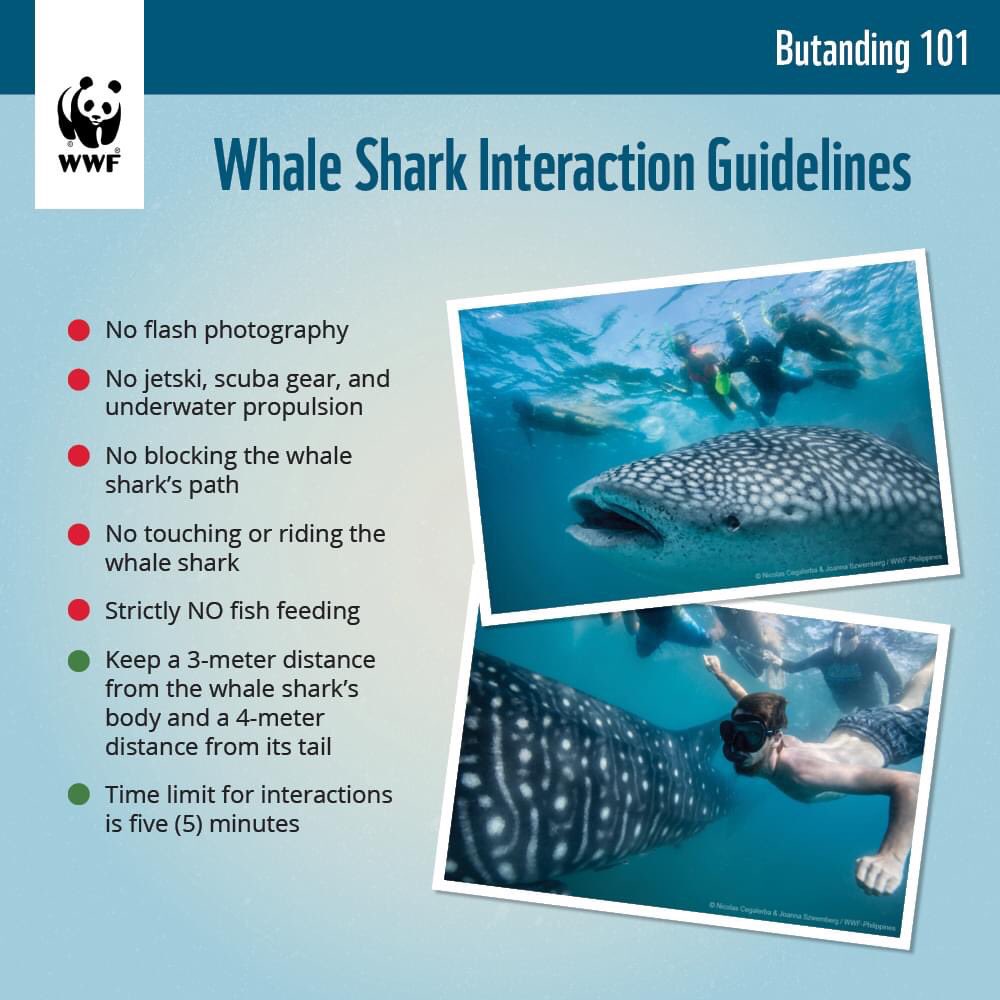 WWF_Philippines's tweet image. These are useful for us to keep in mind to ensure that everyone is doing their part for whale shark conservation. #PandaTalks