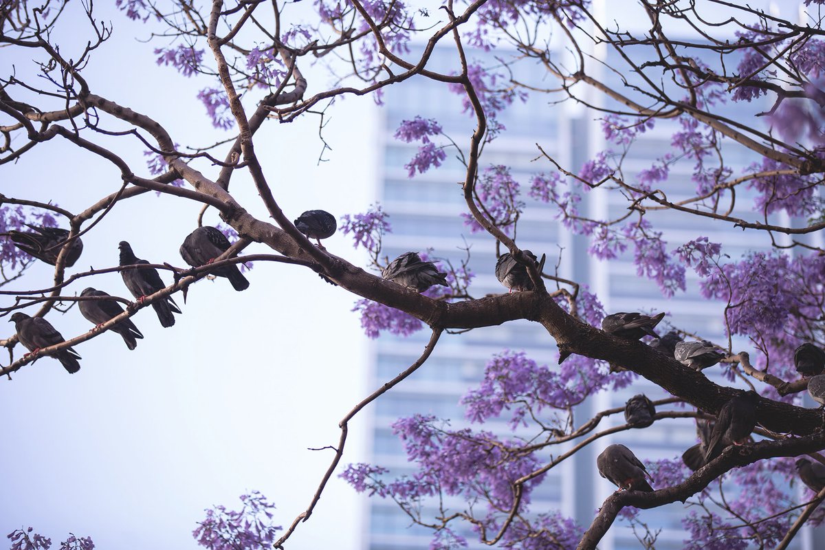 ArchitectureInsights tweet media