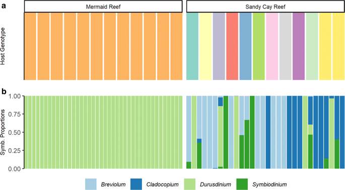 Springer Coral Reefs (@springercore) on Twitter photo New research from <a href="/kate_e_parker/">Katie Parker</a> and <a href="/jrcunning/">Ross Cunning</a> in <a href="/SpringerCORE/">Springer Coral Reefs</a>, shows remarkable differences in the diversity of O. faveolata and symbionts btw sites with contrasting thermal regimes. New research from <a href="/kate_e_parker/">Katie Parker</a> and <a href="/jrcunning/">Ross Cunning</a> in <a href="/SpringerCORE/">Springer Coral Reefs</a>, shows remarkable differences in the diversity of O. faveolata and symbionts btw sites with contrasting thermal regimes.