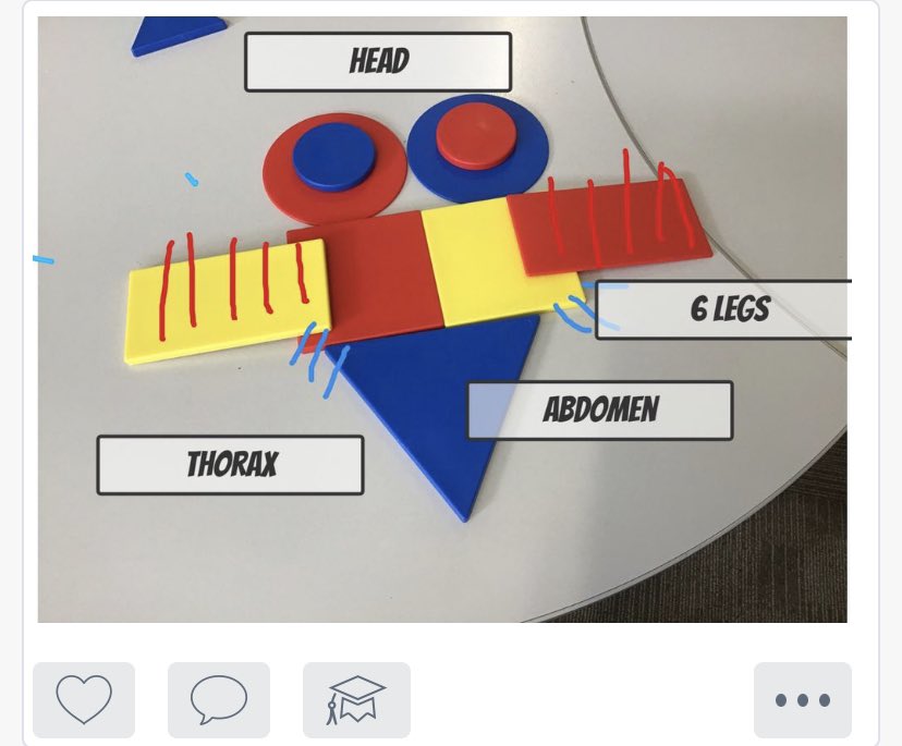 michellebento20's tweet photo. Busy week in digi design with my year 1’s. They have been writing information reports in class so I asked them to create an insect using 2D shapes. Using the features in seesaw, they labelled the head, thorax abdomen, drew patterns and added 6 legs. https://t.co/IemxeS8xu8
