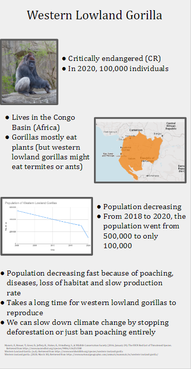 gorillaislife's tweet photo. Since so many of you wanted to save the gorillas, I have created an infographic to further spread the notice of the declining population of the gorilla gorilla gorilla. Thanks to everyone who voted! #KASendangered #SaveTheGorillas #pray4harambe https://t.co/WSZO0tv1jY