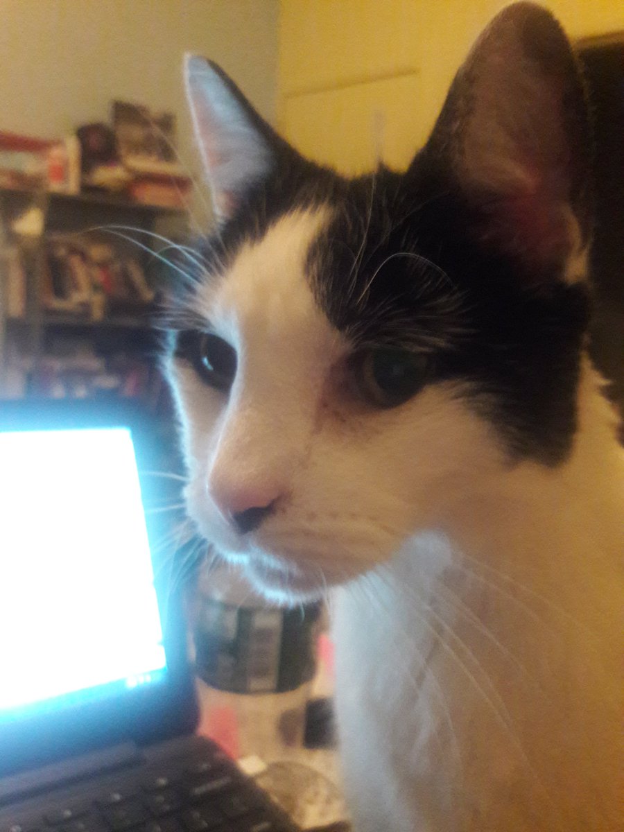 GingerOtis's tweet photo. Executive Producer is quite dialed in tonight for @BBCEngland Not bad for 2 a.m. -- usually he's snoring by now. #mustbehungry https://t.co/r2EDkO8Cs7