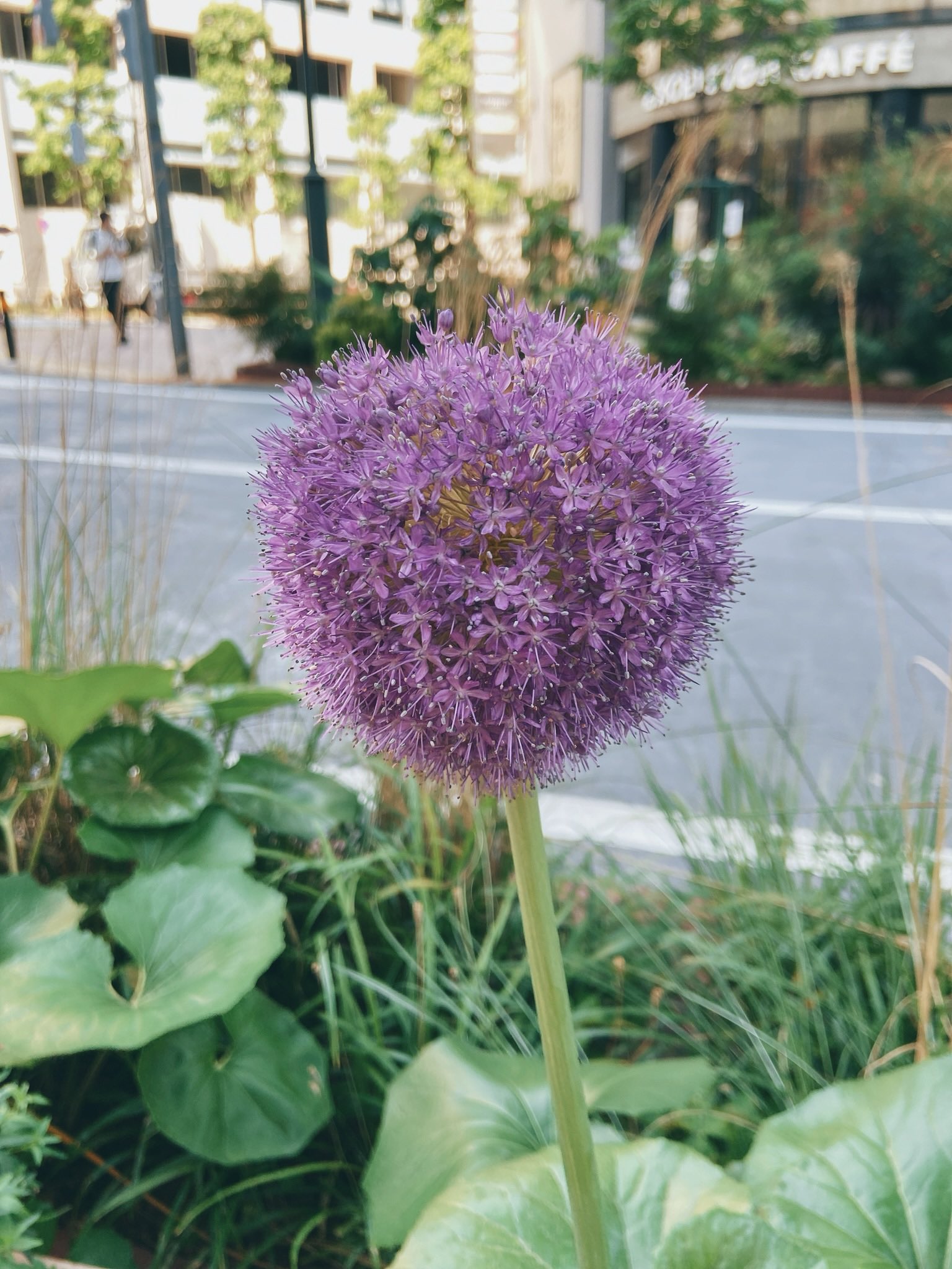 心の花束 Twitter Search Twitter