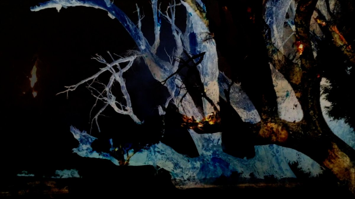 austmus's tweet photo. "Trees for me are the great signals of change. They became a register of what’s happening through climate change..."
Janet Laurence is an Australian artist. Share your images of climate change effects and solutions https://t.co/9hXxViBcPY
#capturingclimatechange https://t.co/ZJ7Qxi0r97