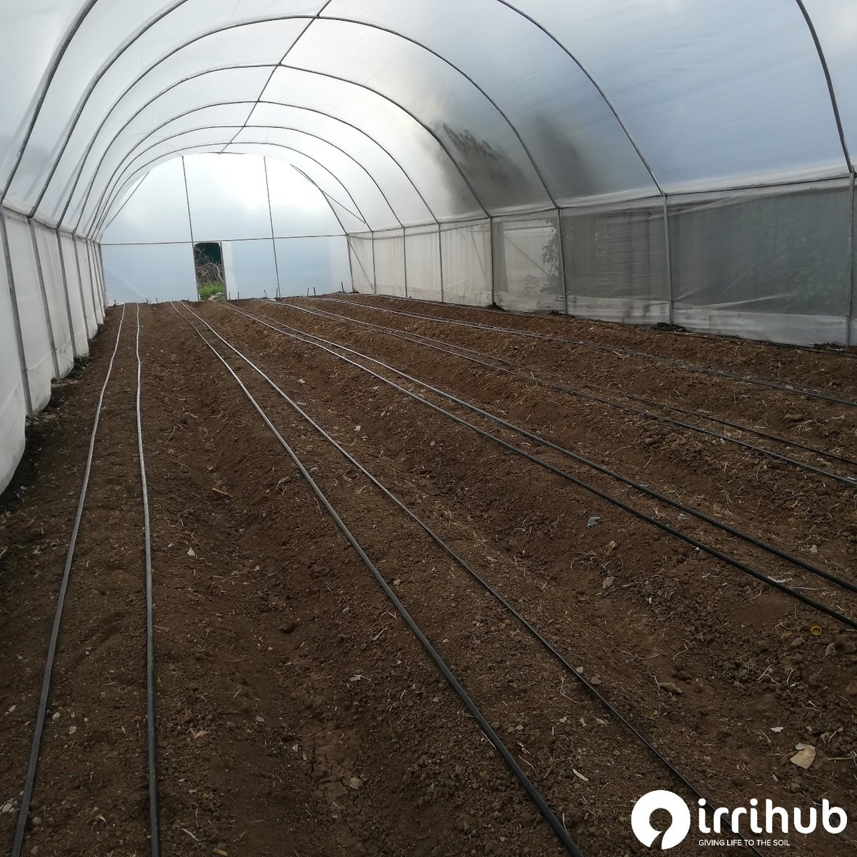 IrriHub's tweet photo. We've been wanting to introduce "Lipa pole pole" options to our farmers for all our irrigation products ranging from drip kits, damliners, mulching papers etc

What would be the best collateral for this?
Your views will be appreciated..

#ZeroHunger #KOT #fridaymorning https://t.co/pNJwPODuBd